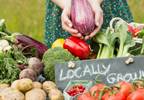 DASH Diet Lowers Uric Acid in Pre-, Early Hypertension DASH Diet Lowers Uric Acid in Pre-, Early Hypertension