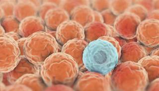 Drug-resistant CRE rises in southeastern U.S. hospitals Drug-resistant CRE rises in southeastern U.S. hospitals
