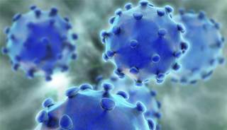 New hepatitis C treatments show promise New hepatitis C treatments show promise