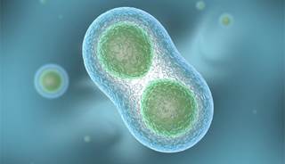 Abnormal B cells dictate HIV-specific responses Abnormal B cells dictate HIV-specific responses