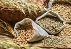 Debunking diabetes nutrition, carbohydrate myths Debunking diabetes nutrition, carbohydrate myths