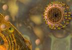 Q&A: Over-the-counter medicine use during flu season Q&A: Over-the-counter medicine use during flu season