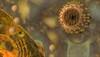 Q&A: Over-the-counter medicine use during flu season
Q&A: Over-the-counter medicine use during flu season