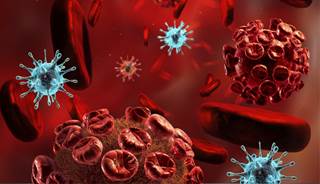 Cervical HPV urine test demonstrates accuracy Cervical HPV urine test demonstrates accuracy