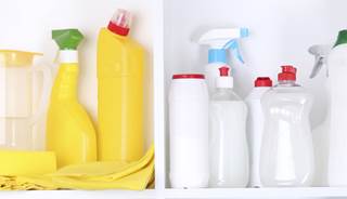 BPA exposure during pregnancy ups respiratory issues in kids BPA exposure during pregnancy ups respiratory issues in kids