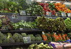 Low vegetable-based protein intake may up metabolic syndrome risk Low vegetable-based protein intake may up metabolic syndrome risk