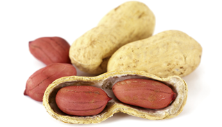 Shortness of breath, wheezing, and coughing occur in both asthma and peanut allergies. Shortness of breath, wheezing, and coughing occur in both asthma and peanut allergies.