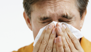 New hypersensitivity/allergic disease model proposed New hypersensitivity/allergic disease model proposed