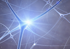 Researchers make headway on understanding body's response to allergies Researchers make headway on understanding body's response to allergies