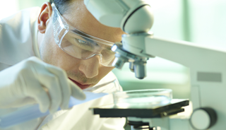 Certain gut microbes may be linked to obesity risk Certain gut microbes may be linked to obesity risk