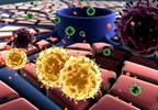 Hepatitis C a Possible Risk Factor for Parkinson's Disease Hepatitis C a Possible Risk Factor for Parkinson's Disease