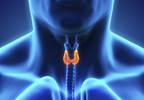 ADHD, Autism Associated With Postnatal Treatment of Congenital Hypothyroidism ADHD, Autism Associated With Postnatal Treatment of Congenital Hypothyroidism