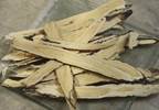 Astragalus may help treat cancer, heart failure Astragalus may help treat cancer, heart failure