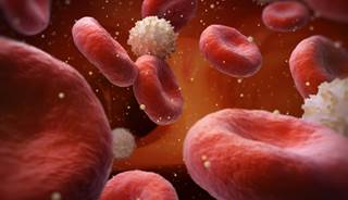 Patients with chronic heart failure often present with elevated total bilirubin and transaminases. Patients with chronic heart failure often present with elevated total bilirubin and transaminases.