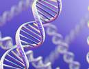 Influenza Outcomes Associated with IFITM3 Genetic Marker Influenza Outcomes Associated with IFITM3 Genetic Marker