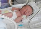 Predicting neurodevelopmental outcomes in children with very low birth weight Predicting neurodevelopmental outcomes in children with very low birth weight