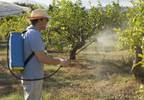 Exposure to pesticides increases risk of developing diabetes Exposure to pesticides increases risk of developing diabetes