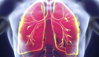 The lung microbiomes in people with and without HIV are very similar. The lung microbiomes in people with and without HIV are very similar.