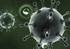 Statins slow progression of liver disease in patients with HIV, Hep C Statins slow progression of liver disease in patients with HIV, Hep C