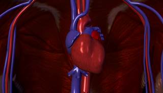 The number of people who have ideal cardiovascular health has decreased during the last 20 years. The number of people who have ideal cardiovascular health has decreased during the last 20 years.