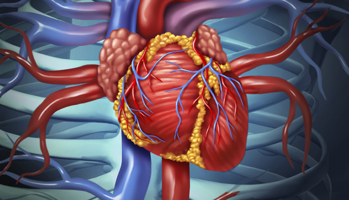 Vagal nerve stimulation does not reduce mortality in heart failure