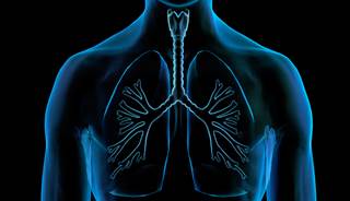 Recently release guidelines for pulmonary rehabilitation (PR) cover the process, benefits, and cost-effectiveness of PR. Recently release guidelines for pulmonary rehabilitation (PR) cover the process, benefits, and cost-effectiveness of PR.