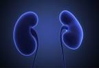 Online risk calculator predicts kidney failure odds in chronic kidney disease patients Online risk calculator predicts kidney failure odds in chronic kidney disease patients