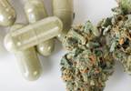 Insufficient evidence exists for clinical recommendation of medical marijuana Insufficient evidence exists for clinical recommendation of medical marijuana