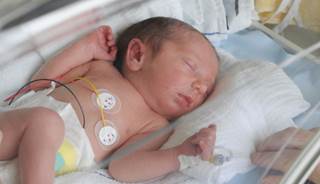 Pregnant women who take prenatal steroids reduce their preterm infants' risk of respiratory issues. Pregnant women who take prenatal steroids reduce their preterm infants' risk of respiratory issues.