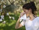 Allergic and Nonallergic Rhinitis Guideline Updates From BSACI Allergic and Nonallergic Rhinitis Guideline Updates From BSACI