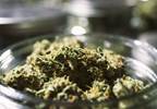 Scale of Online Marketplace for Marijuana Increasing Scale of Online Marketplace for Marijuana Increasing