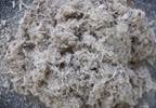 Slippery elm: an effective anti-inflammatory agent Slippery elm: an effective anti-inflammatory agent