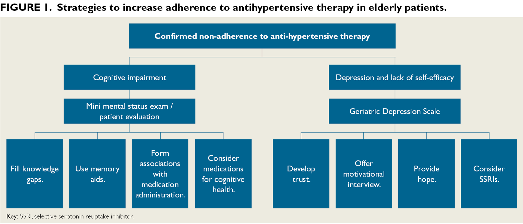 hypertension treatment guidelines elderly