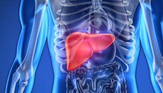 The source of a patient's liver transplant did not significantly affect rates of disease recurrence. The source of a patient's liver transplant did not significantly affect rates of disease recurrence.