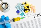 HPV Infection Increase Seen in Female Kidney Recipients HPV Infection Increase Seen in Female Kidney Recipients