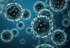 Predicting viral mutations may improve flu vaccine efficacy Predicting viral mutations may improve flu vaccine efficacy