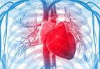 Meta-Analysis: Anxiety Disorders and Cardiovascular Disease Meta-Analysis: Anxiety Disorders and Cardiovascular Disease