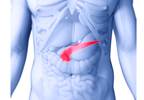 Additional treatment not effective to treat pancreatic cancer Additional treatment not effective to treat pancreatic cancer