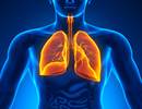 Distinct Clinical Phenotypes in Interstitial Lung Disease May Better Predict Outcomes Distinct Clinical Phenotypes in Interstitial Lung Disease May Better Predict Outcomes