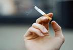 Global tobacco control treaty reduced worldwide smoking rates Global tobacco control treaty reduced worldwide smoking rates