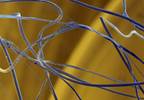 Restorative applications of spider web silk Restorative applications of spider web silk