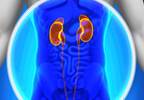 Statin-based therapy less effective in advanced chronic kidney disease Statin-based therapy less effective in advanced chronic kidney disease