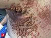 Image of the Week: An extreme presentation Image of the Week: An extreme presentation