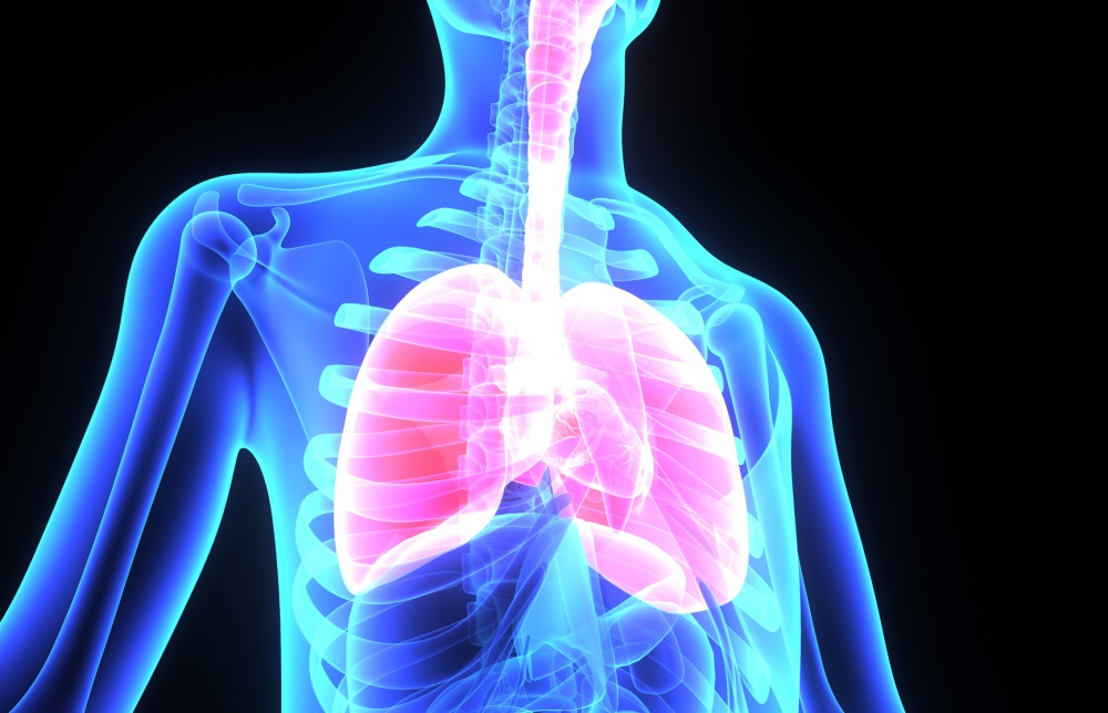 COPD and idiopathic pulmonary fibrosis may have common 