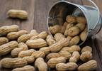 Early peanut introduction may increase odds of successful oral food challenge Early peanut introduction may increase odds of successful oral food challenge