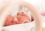 Birth defect rate is 6% among US women with possible Zika virus infection Birth defect rate is 6% among US women with possible Zika virus infection