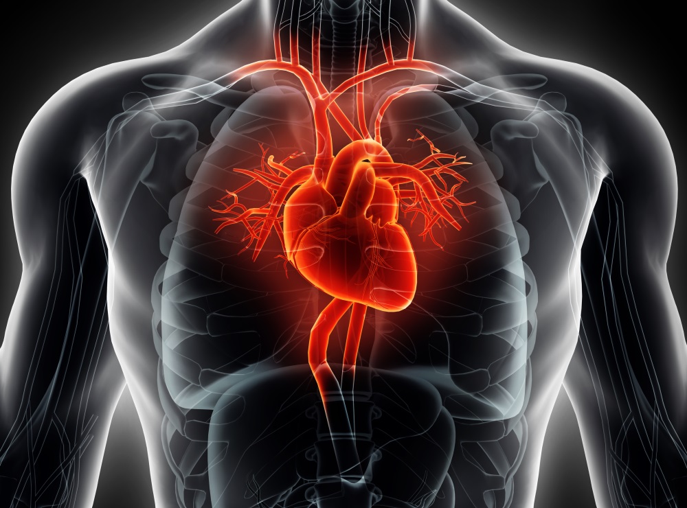 What Is The Most Common Heart Valve Disorder