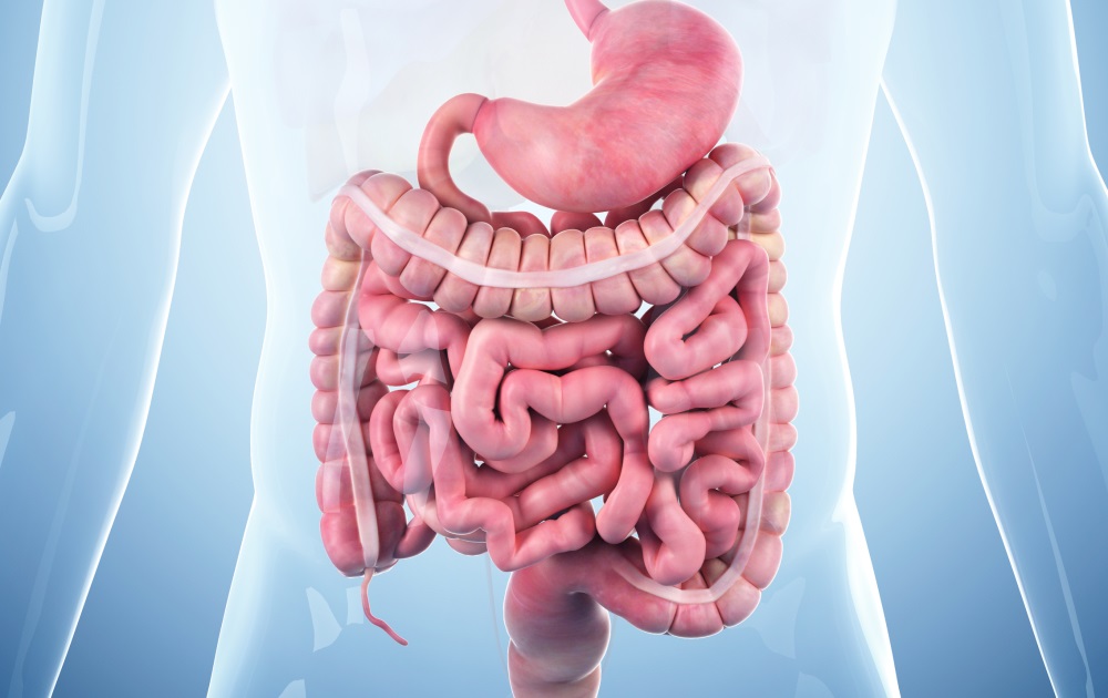 Predicting high healthcare costs in patients with inflammatory bowel ...