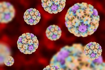 Positive HPV Status Tied to Better Cervical Cancer Prognosis Positive HPV Status Tied to Better Cervical Cancer Prognosis