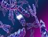 Genetic testing: an overview for clinicians Genetic testing: an overview for clinicians